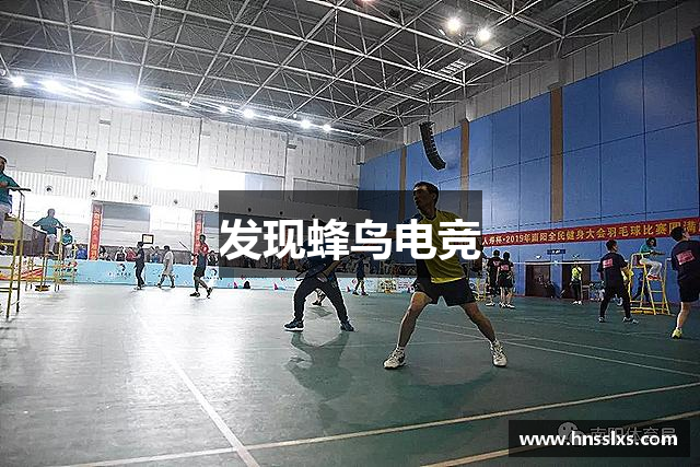 发现蜂鸟电竞